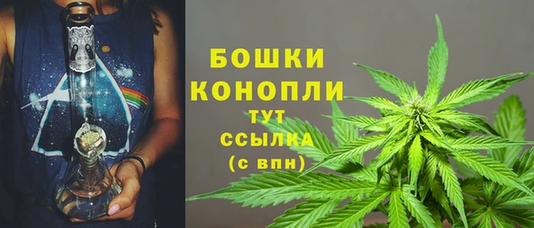 трава Балахна