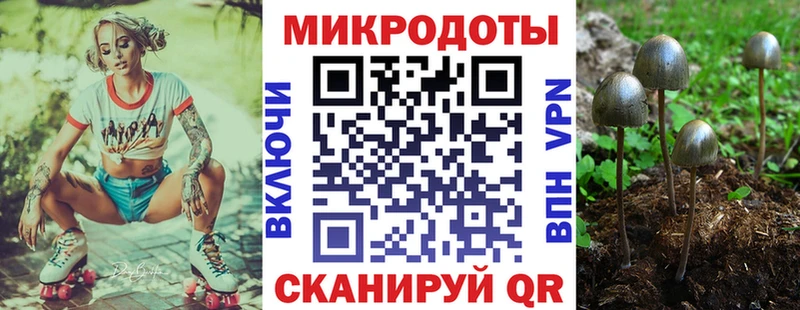 Псилоцибиновые грибы ЛСД  гидра ССЫЛКА  Ладушкин  наркота 