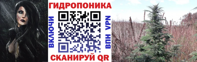 Шишки марихуана тримм Ладушкин